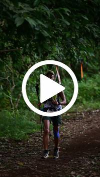 BIB:  <button type="button" onclick="openModal(27286726)" class="btn btn-primary btn-sm float-right" data-toggle="modal" data-target=".modal-high-quality">
                <i class="fa fa-download"></i> Download
                </button>